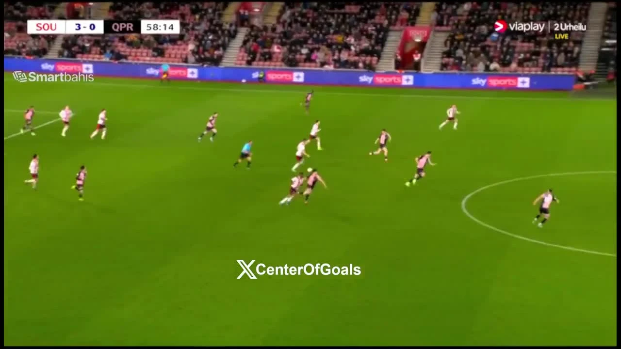 zaslepka skrotu video