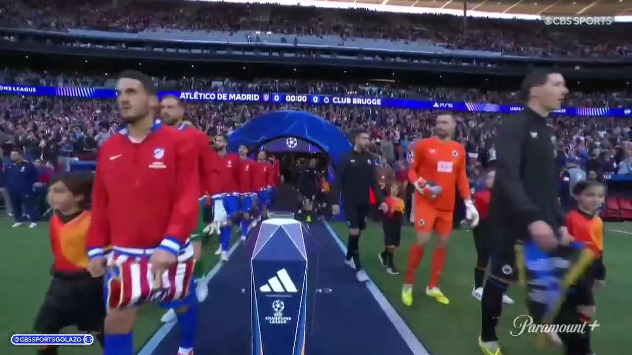 zaslepka skrotu video