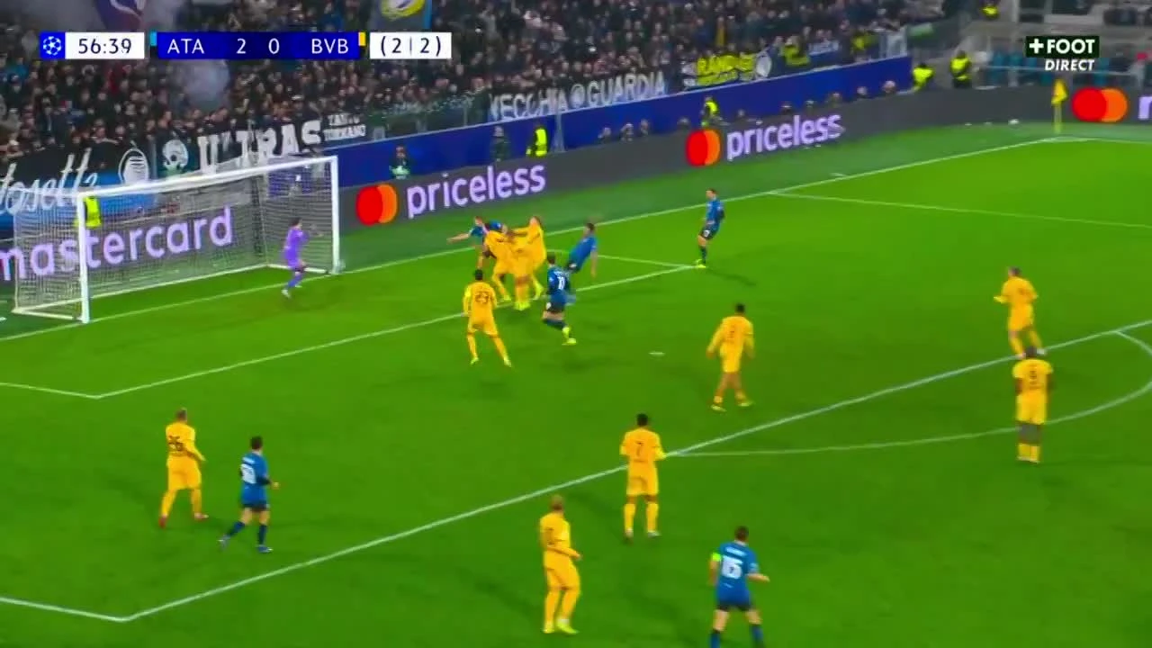 zaslepka skrotu video