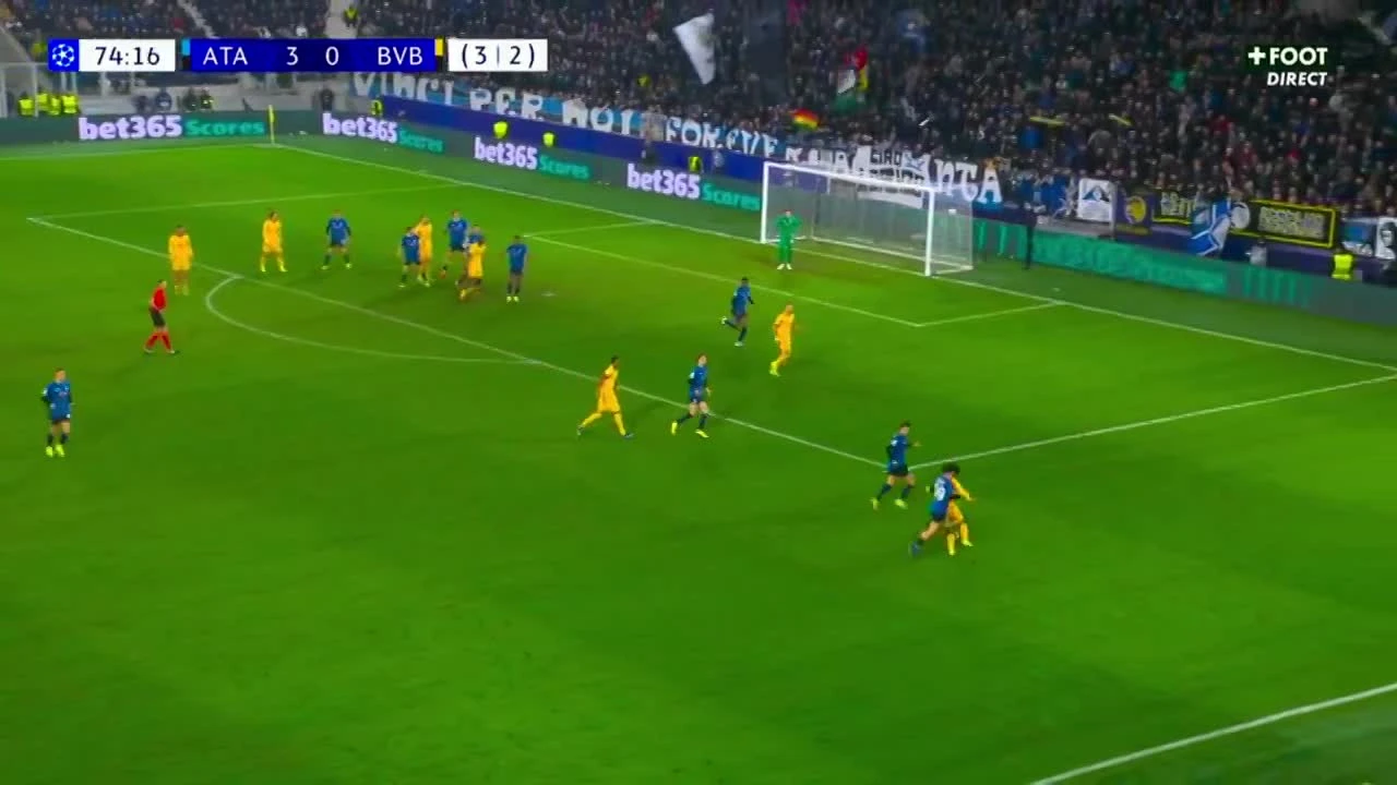 zaslepka skrotu video