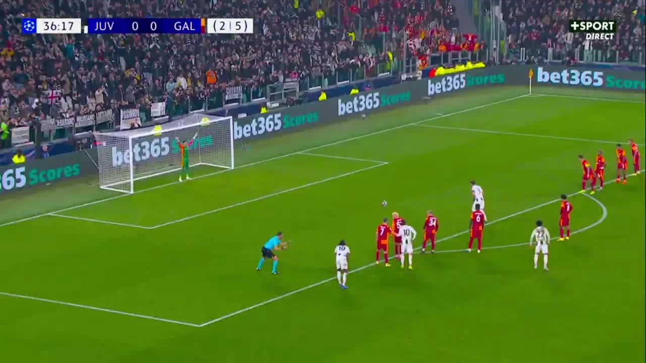 zaslepka skrotu video