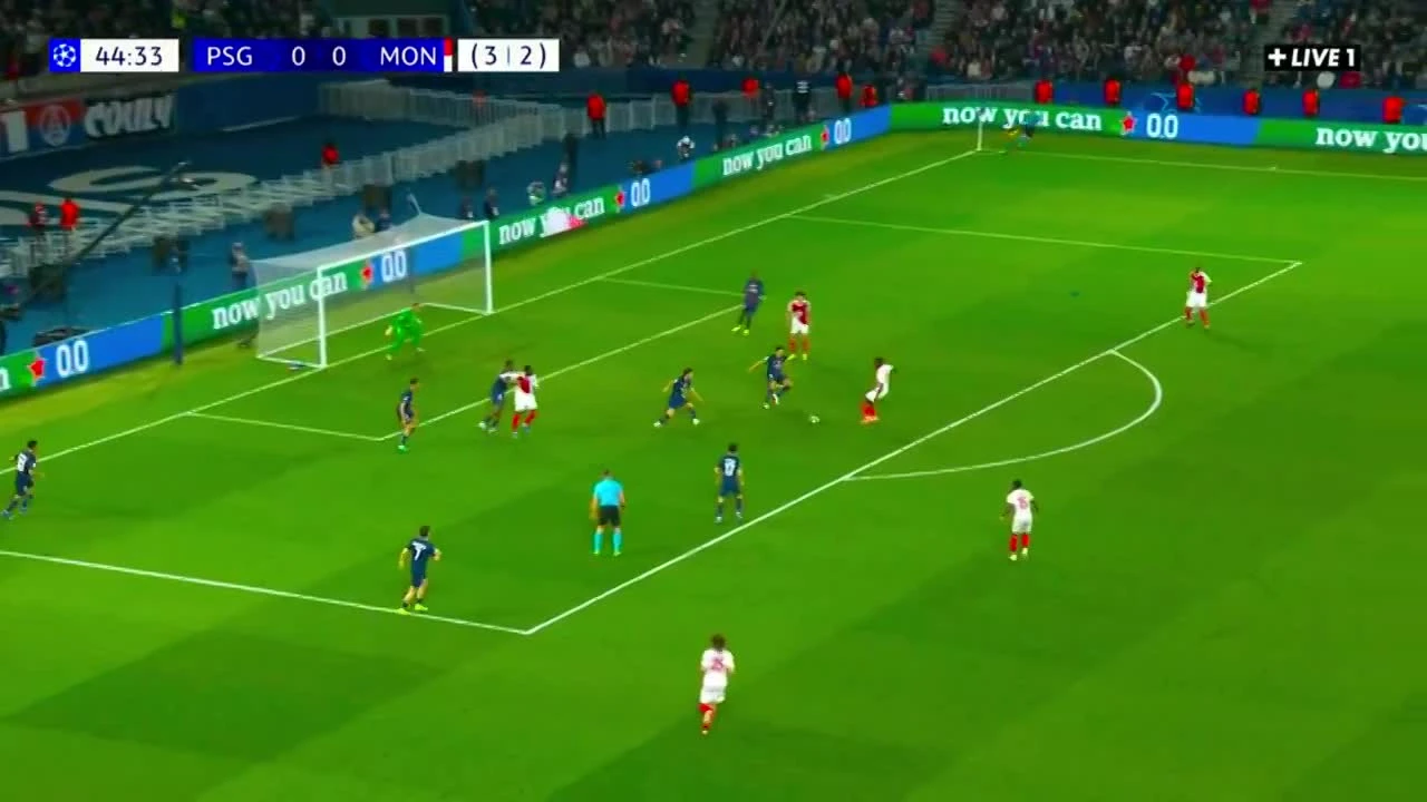 zaslepka skrotu video