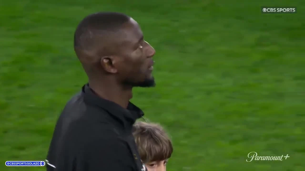 zaslepka skrotu video