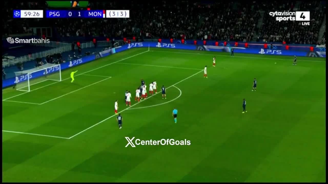 zaslepka skrotu video