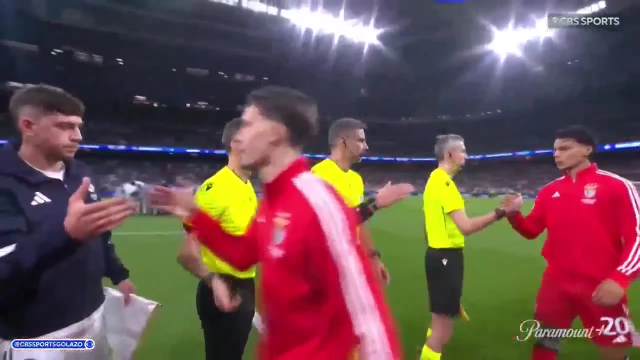 zaslepka skrotu video