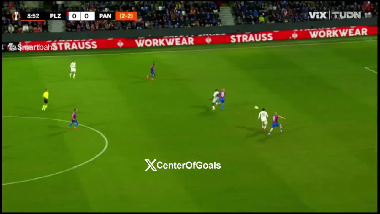 zaslepka skrotu video