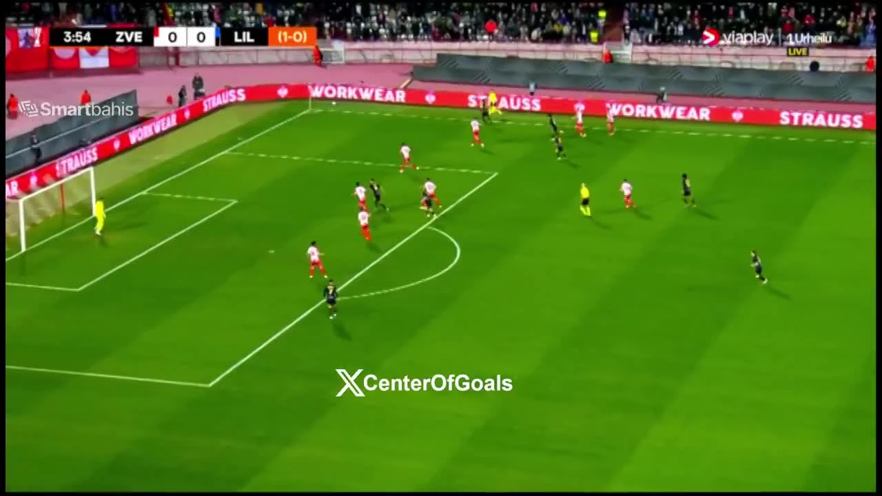 zaslepka skrotu video