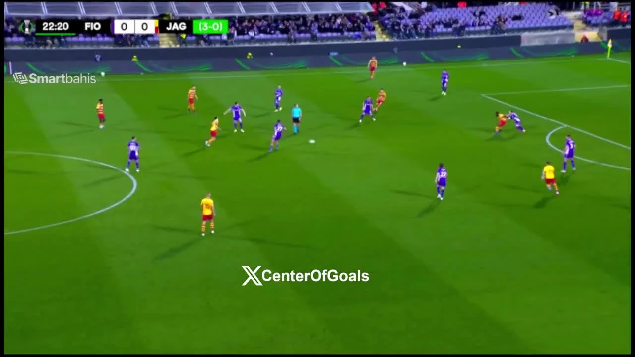 zaslepka skrotu video