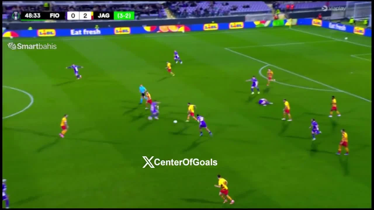 zaslepka skrotu video