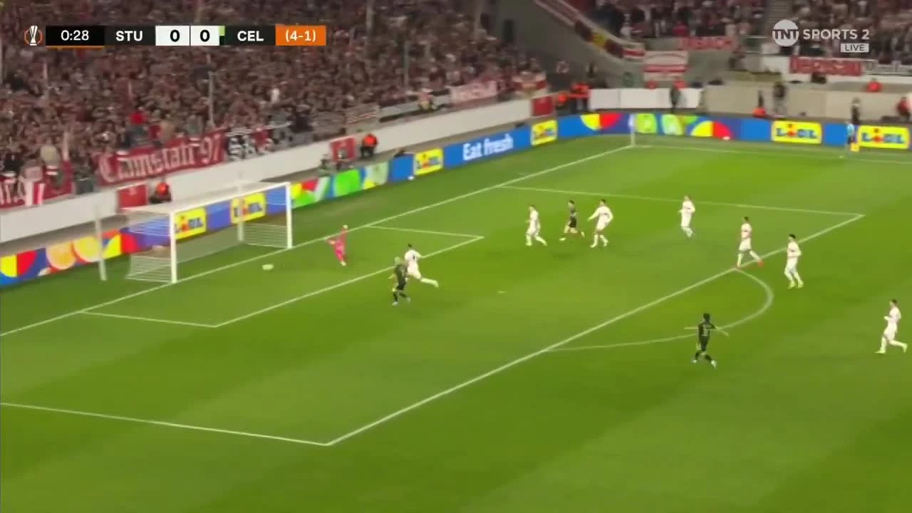 zaslepka skrotu video