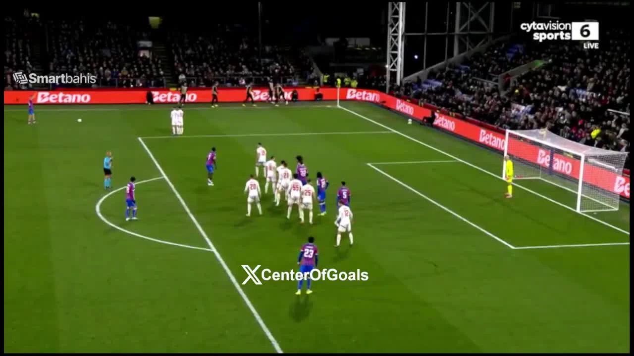 zaslepka skrotu video