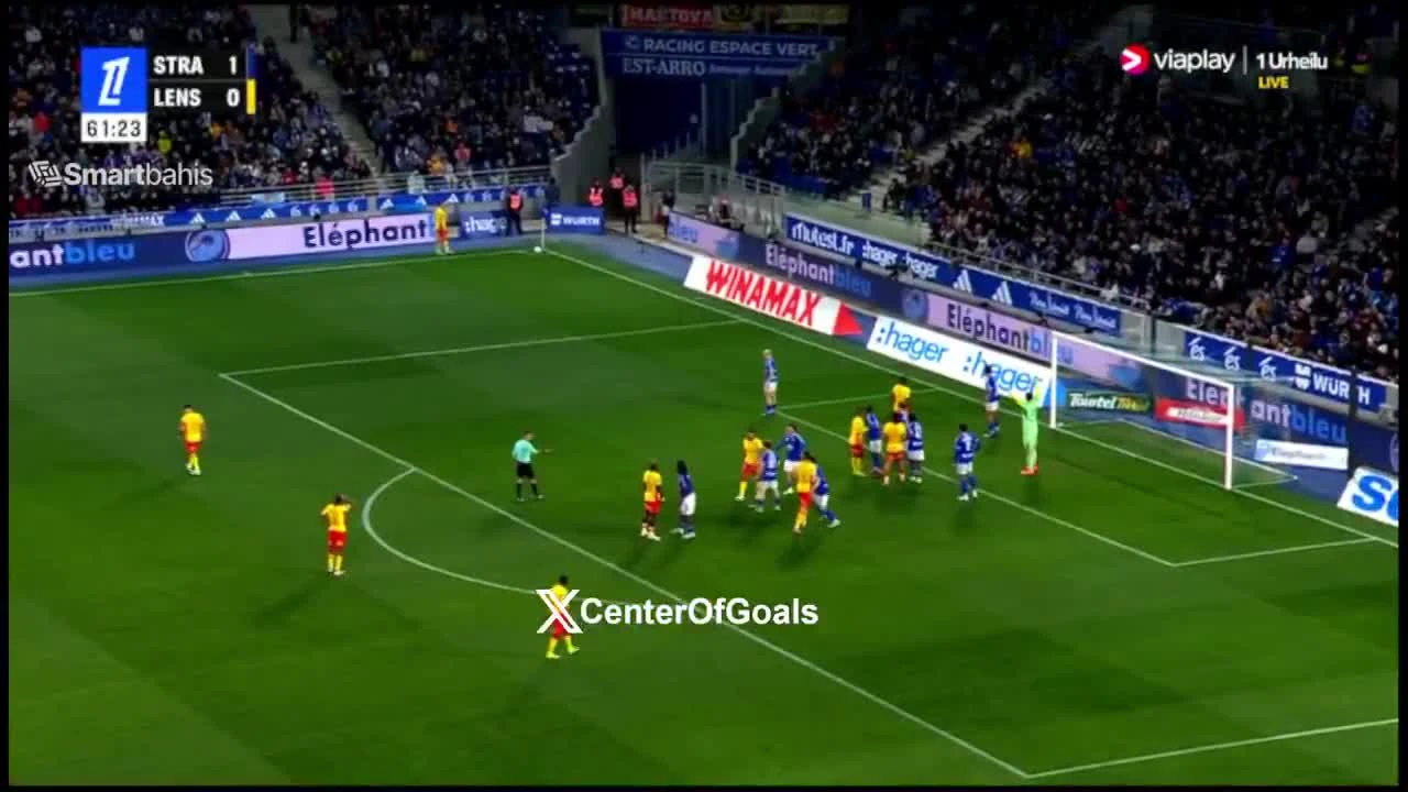 zaslepka skrotu video