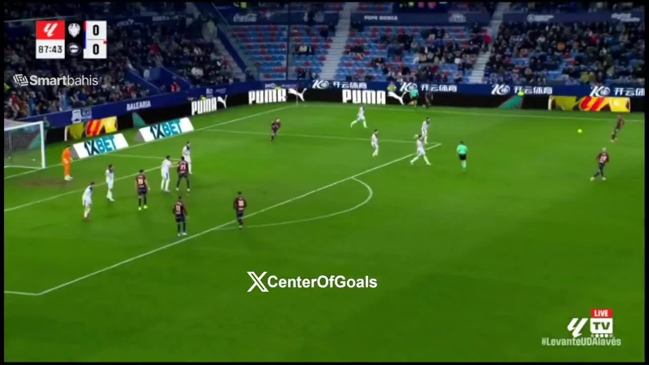 zaslepka skrotu video