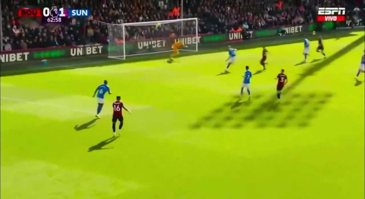 zaslepka skrotu video