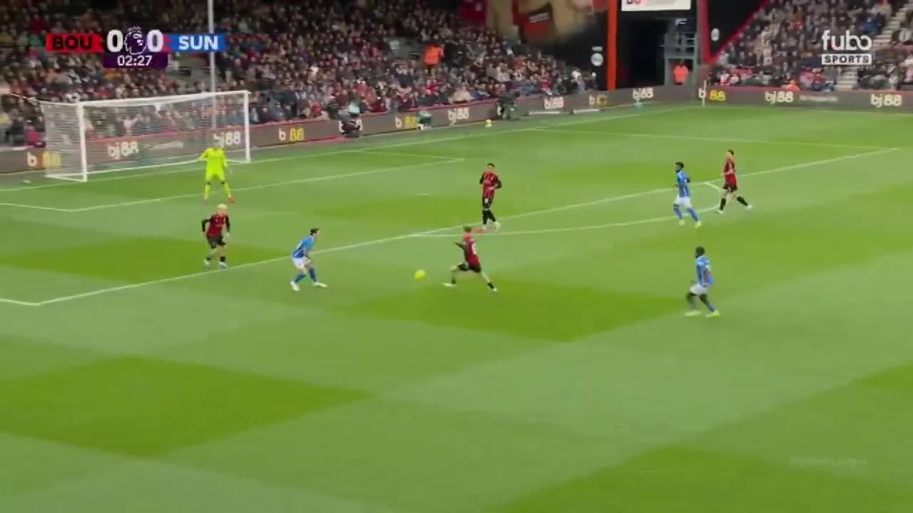 zaslepka skrotu video