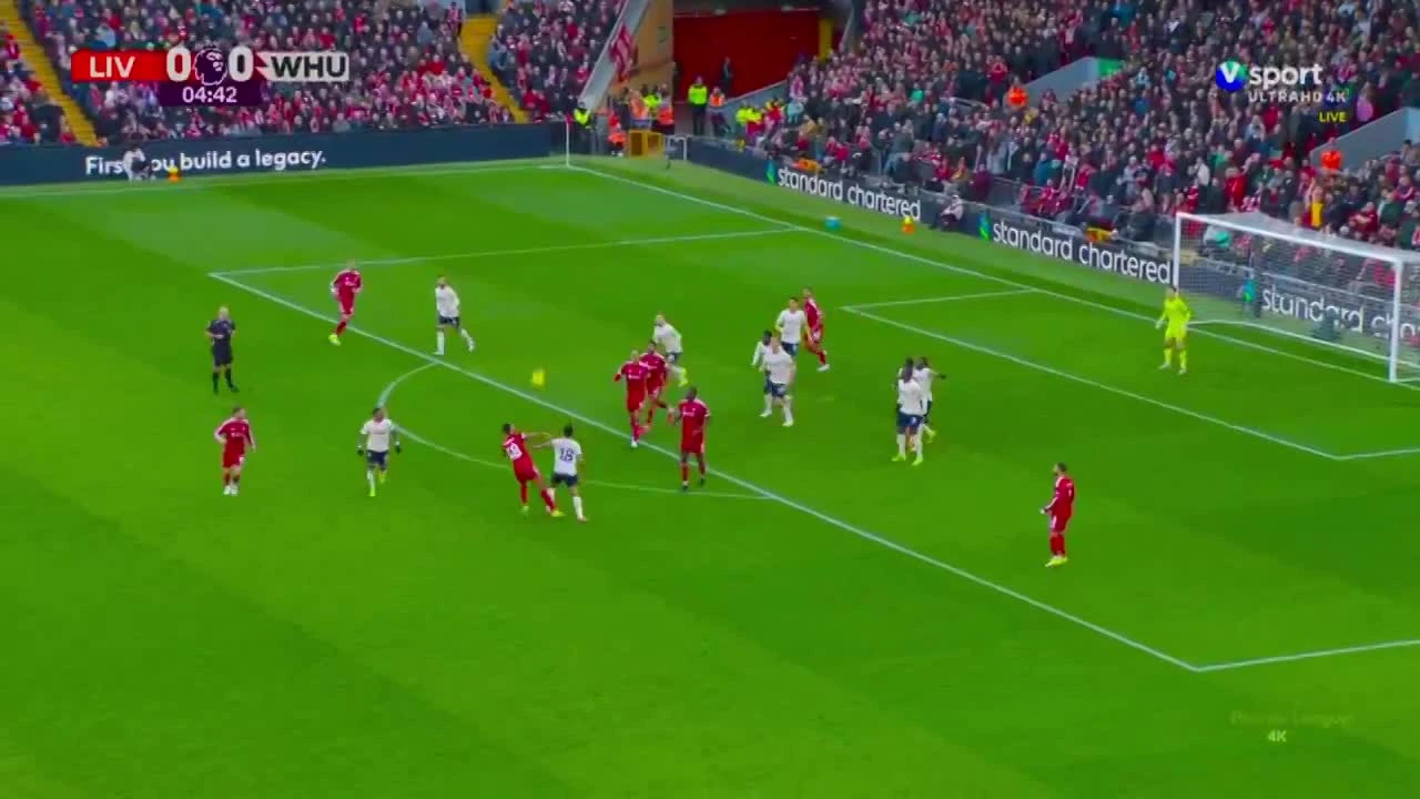 zaslepka skrotu video