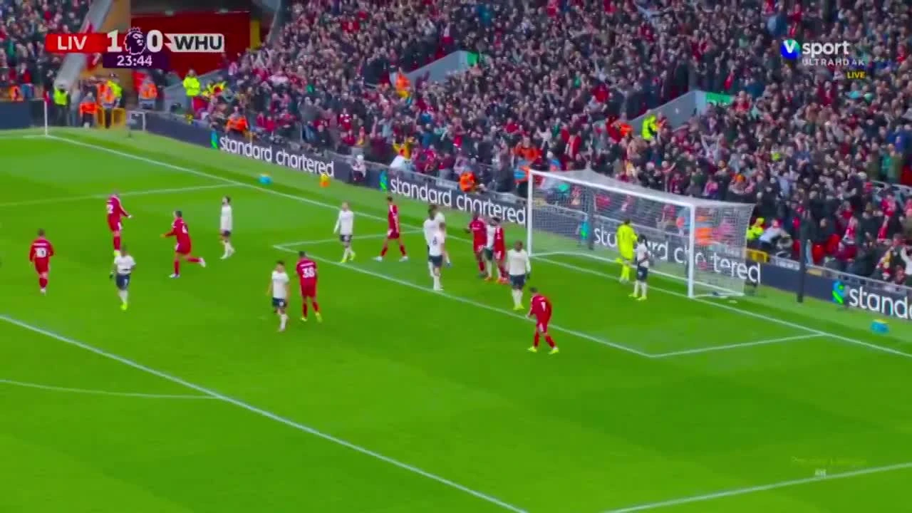 zaslepka skrotu video