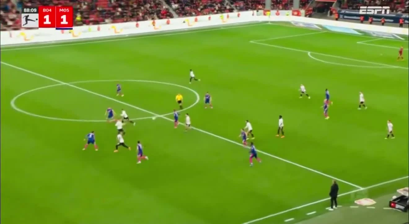 zaslepka skrotu video