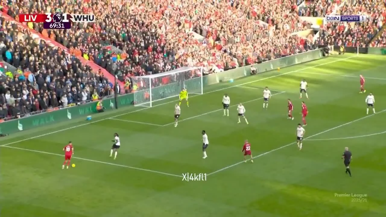 zaslepka skrotu video