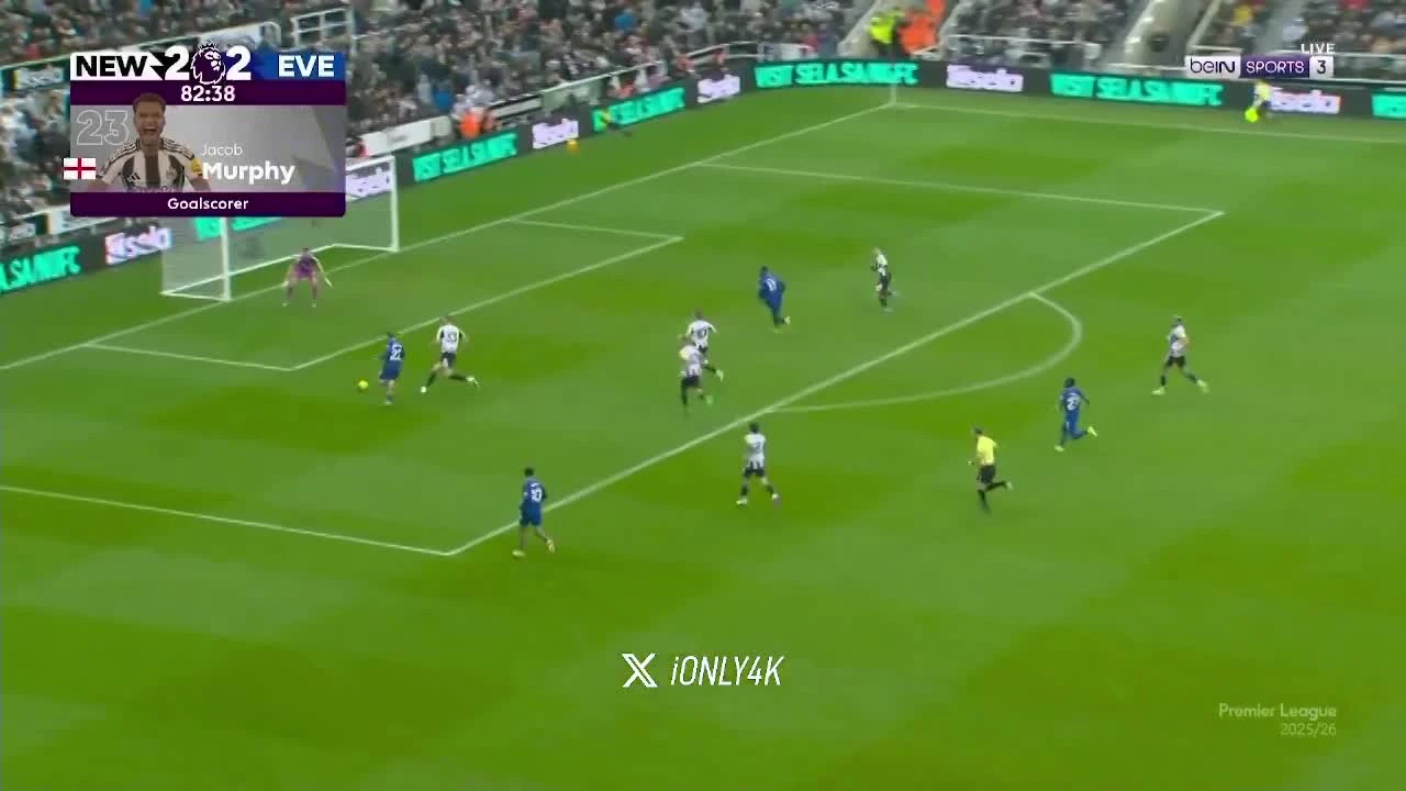 zaslepka skrotu video