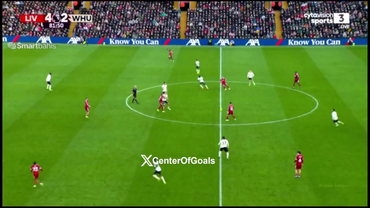 zaslepka skrotu video