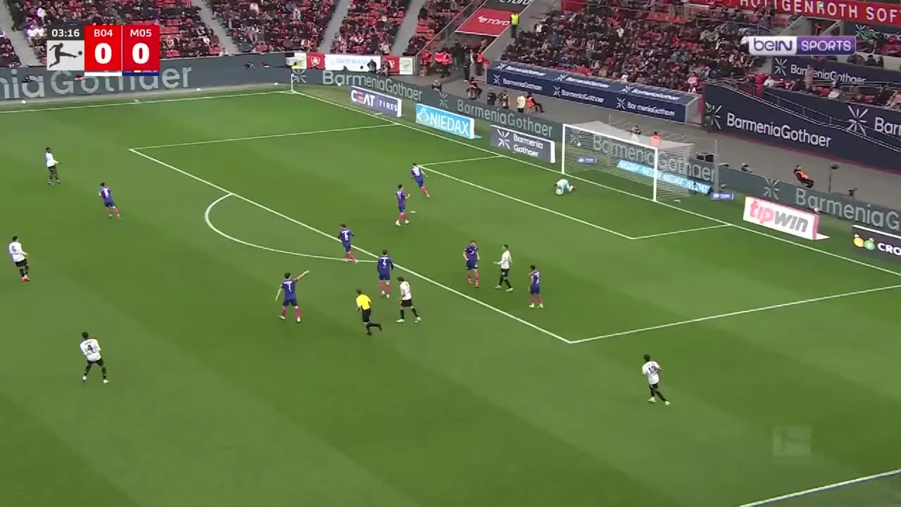 zaslepka skrotu video