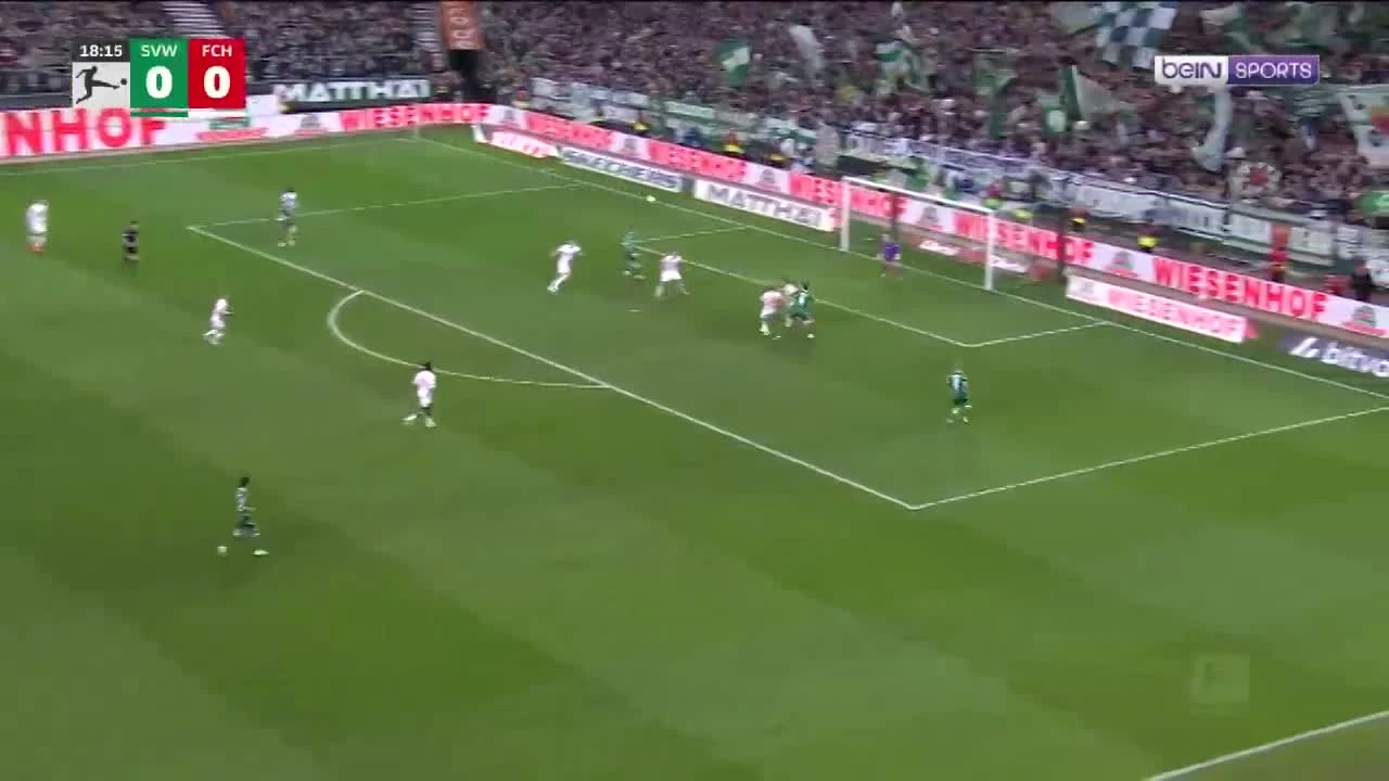 zaslepka skrotu video