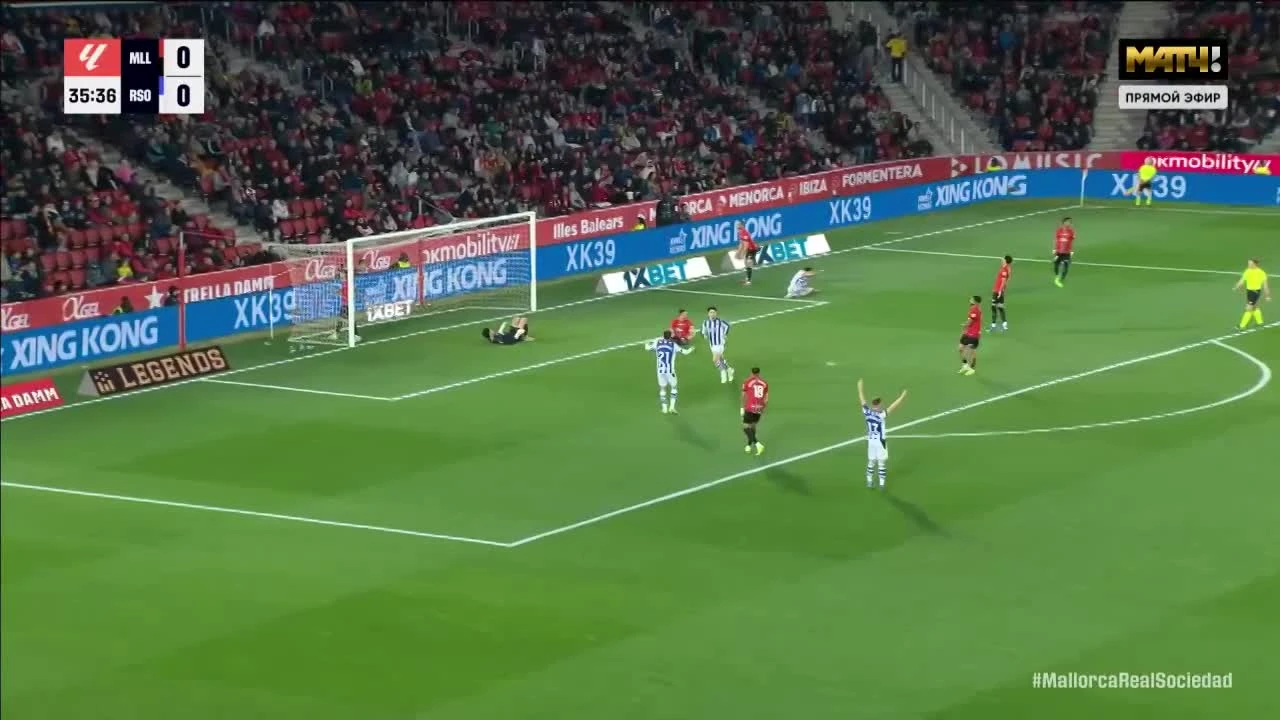 zaslepka skrotu video