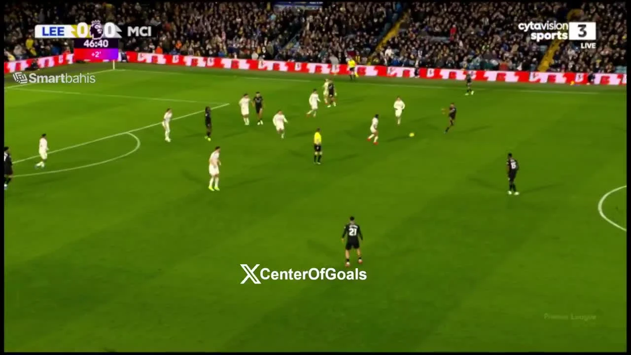 zaslepka skrotu video