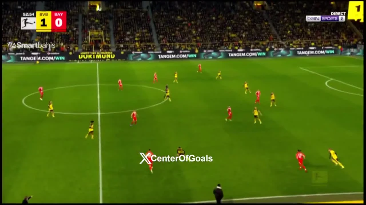 zaslepka skrotu video