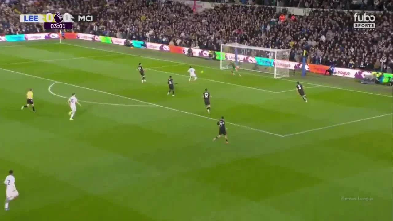 zaslepka skrotu video