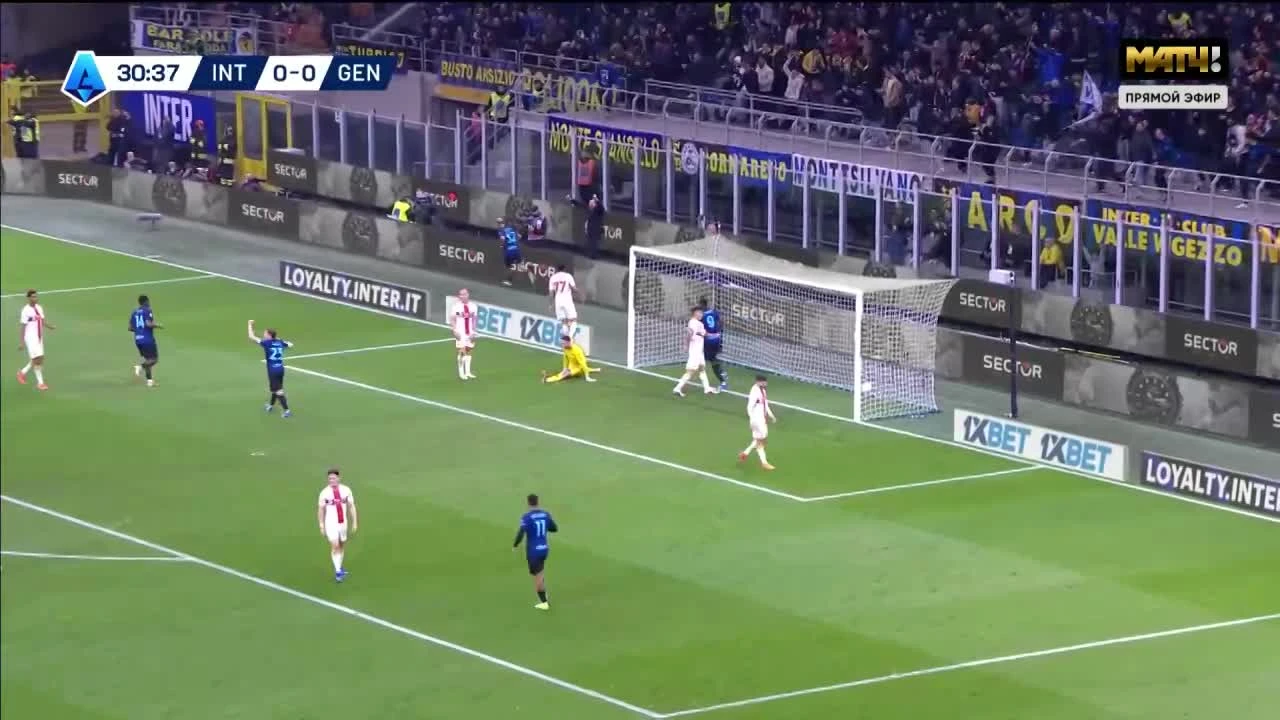 zaslepka skrotu video