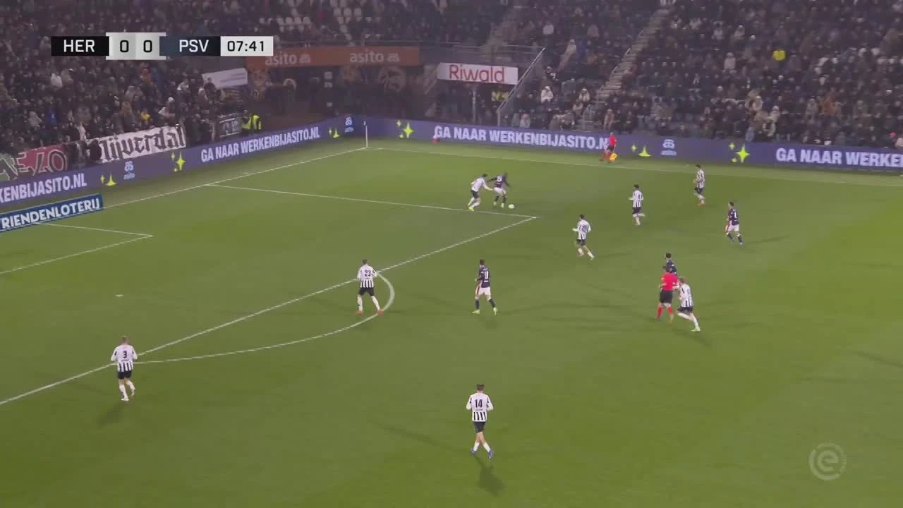 zaslepka skrotu video