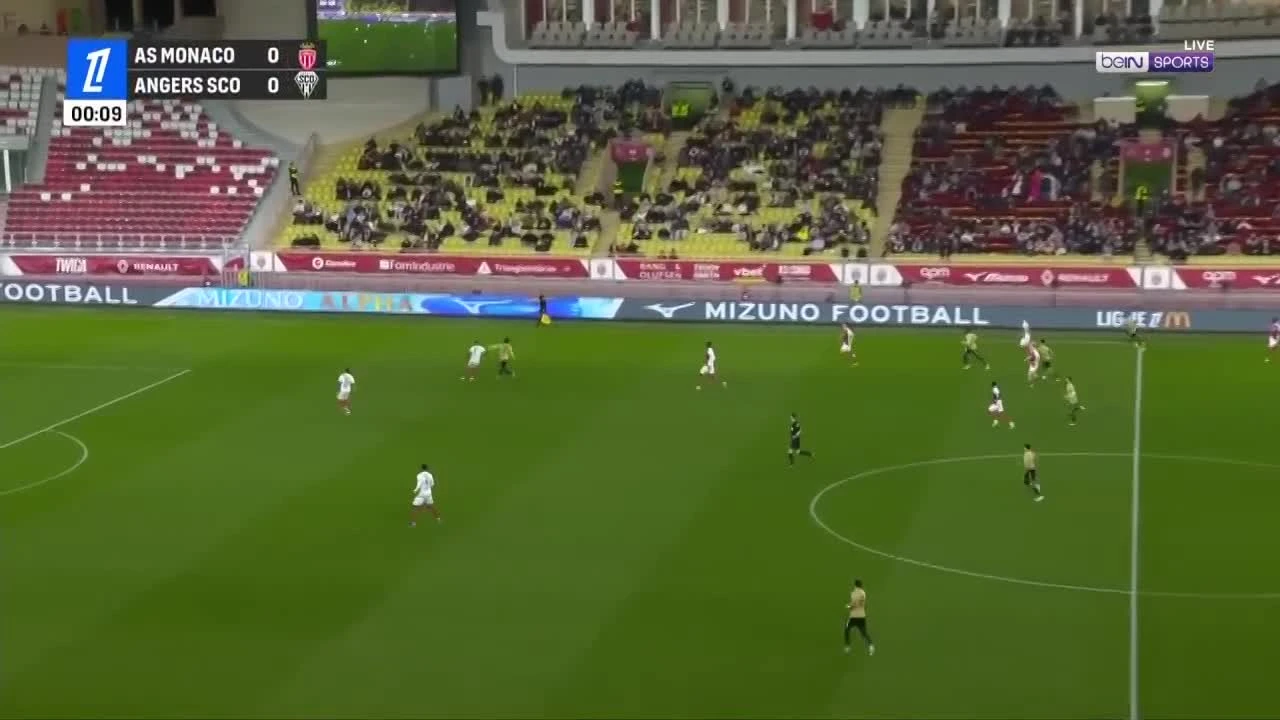 zaslepka skrotu video