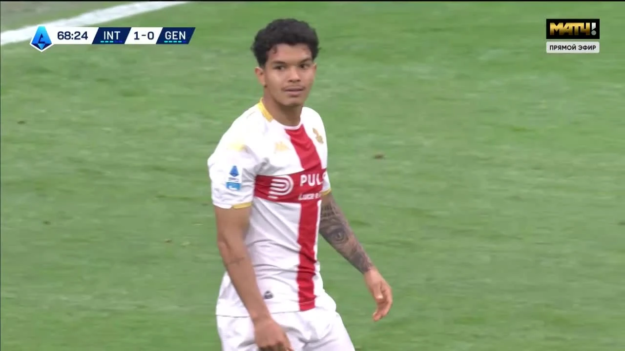 zaslepka skrotu video