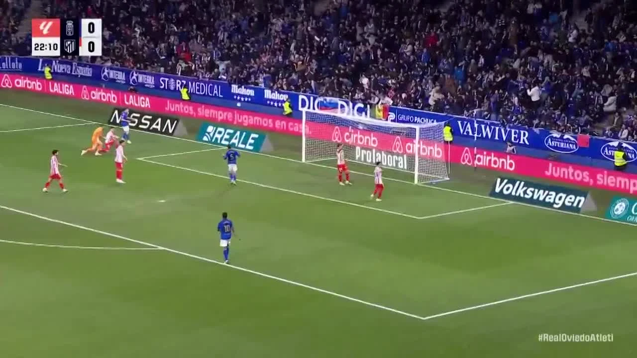 zaslepka skrotu video