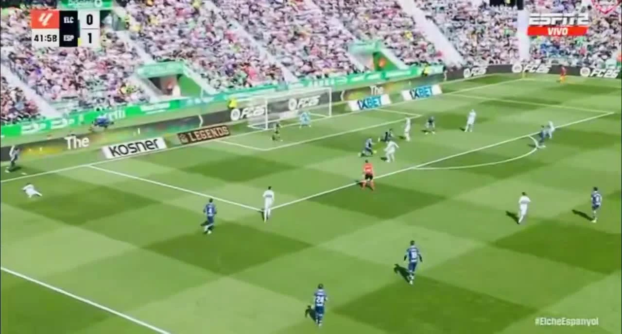 zaslepka skrotu video