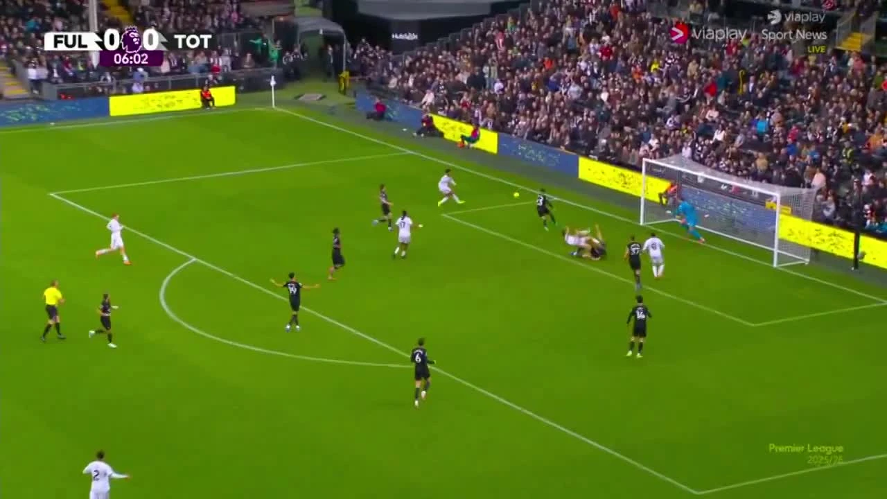 zaslepka skrotu video