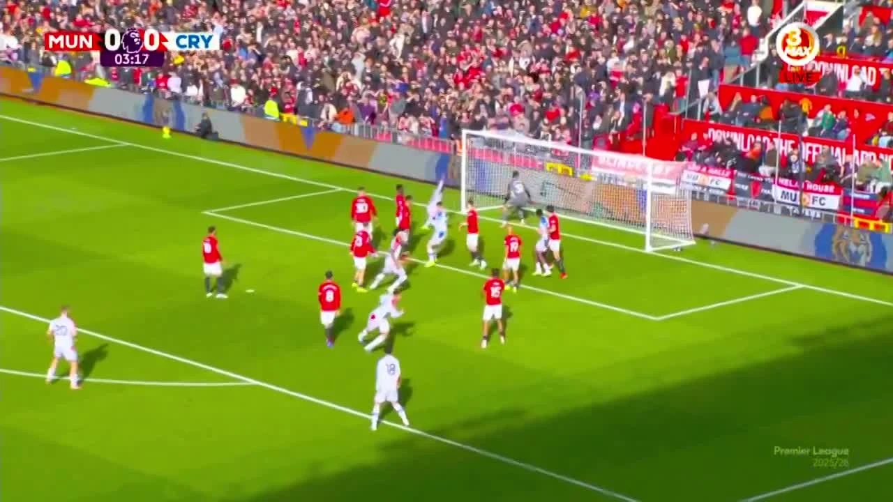 zaslepka skrotu video