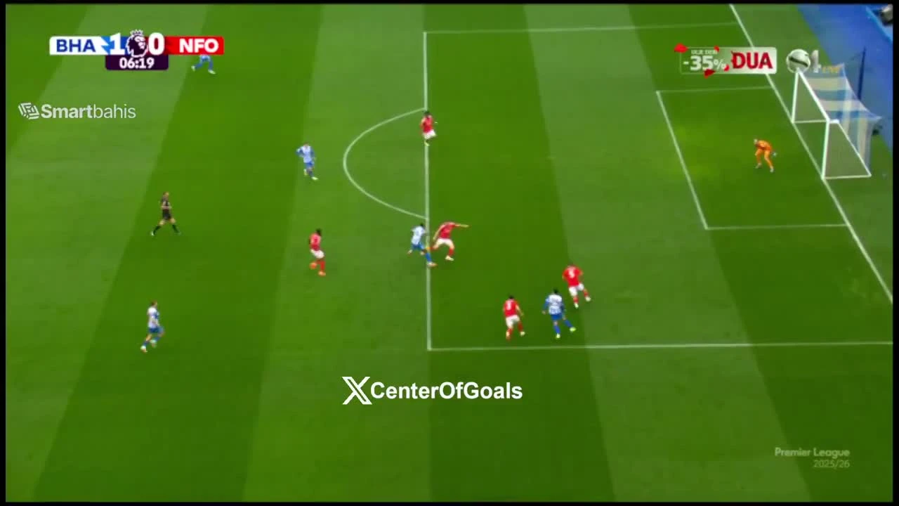 zaslepka skrotu video