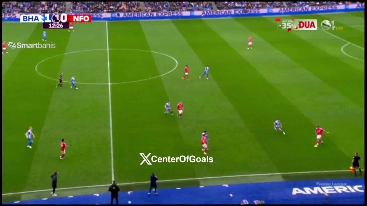 zaslepka skrotu video