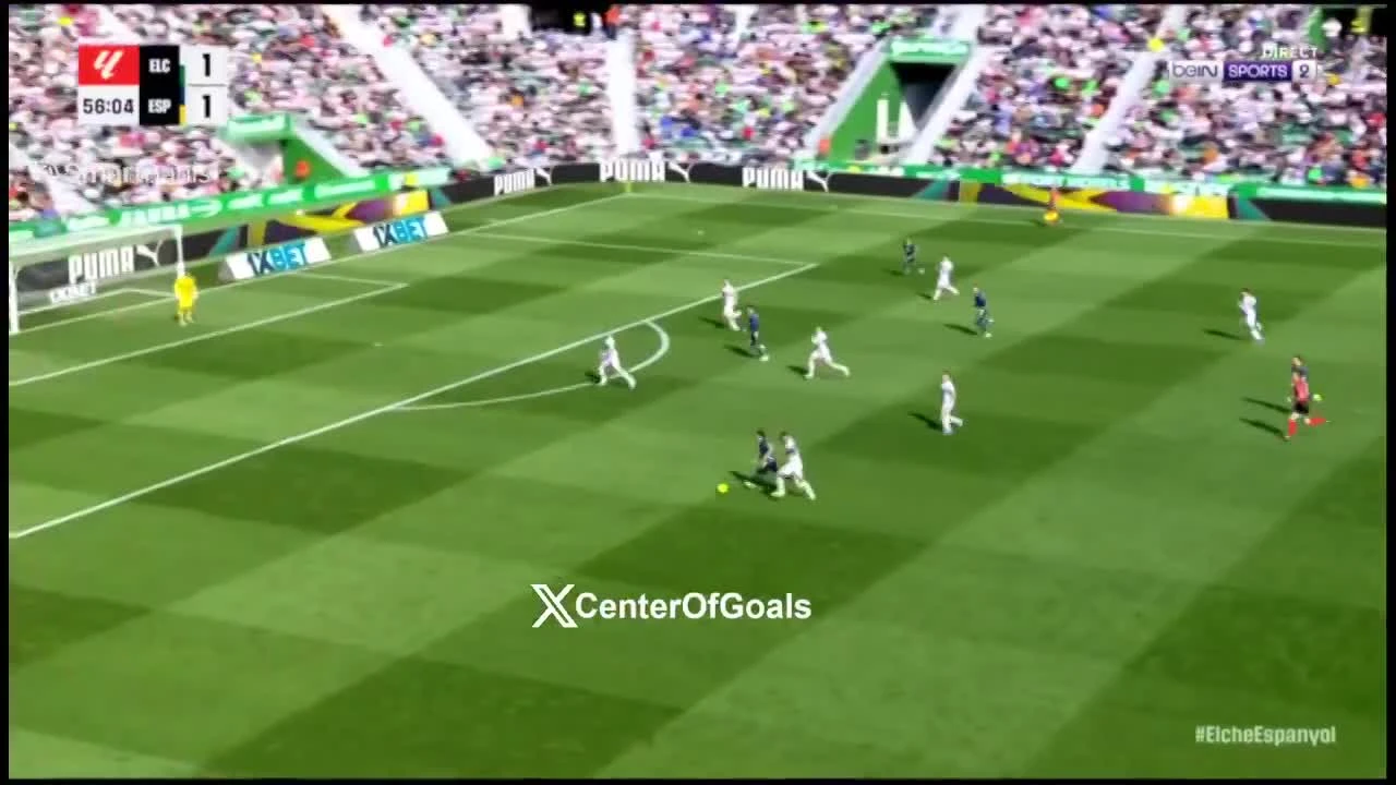 zaslepka skrotu video