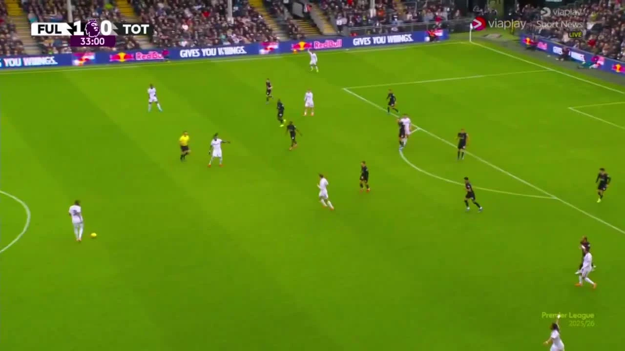 zaslepka skrotu video