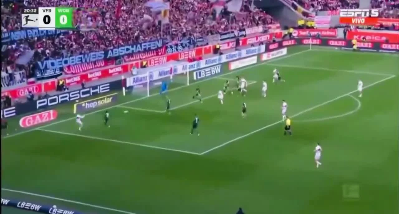 zaslepka skrotu video