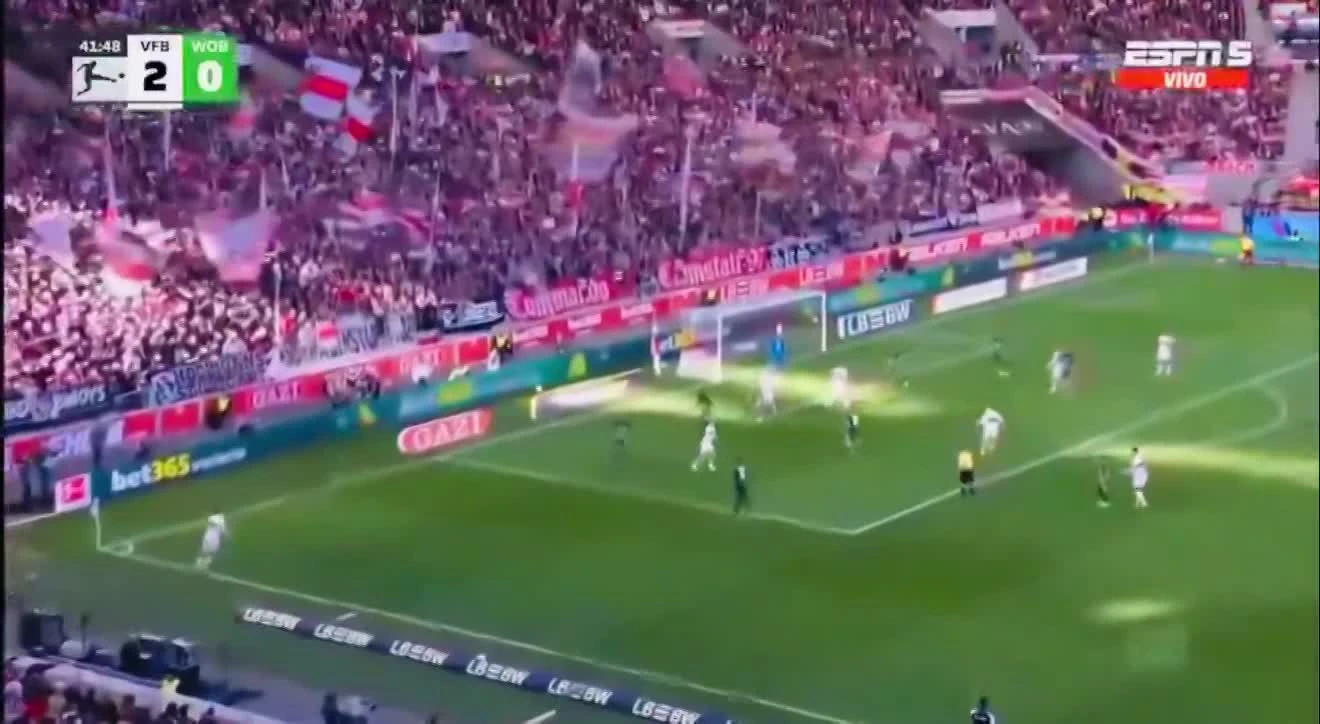 zaslepka skrotu video