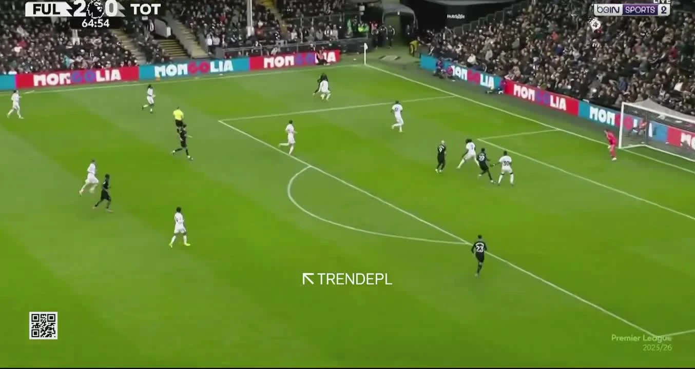 zaslepka skrotu video