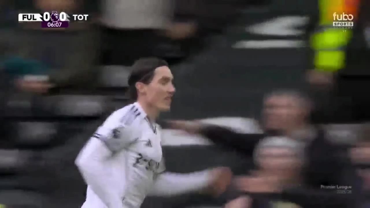 zaslepka skrotu video