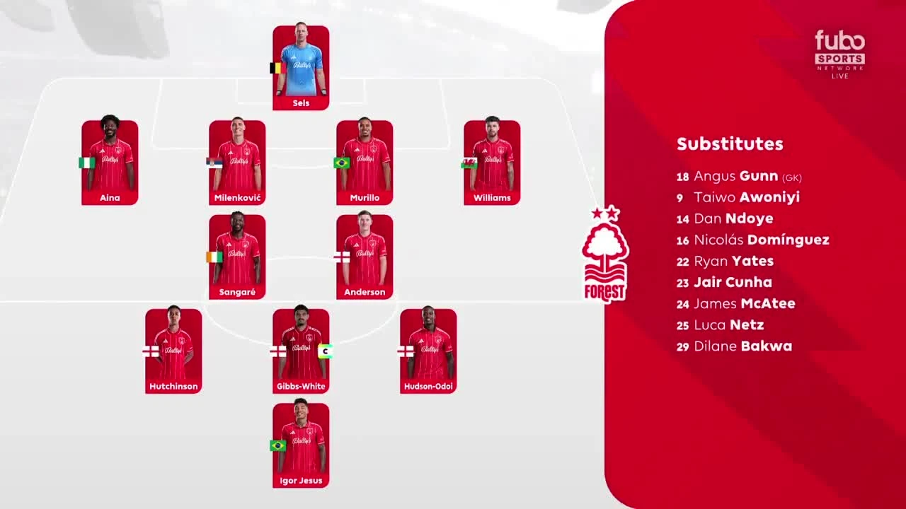 zaslepka skrotu video