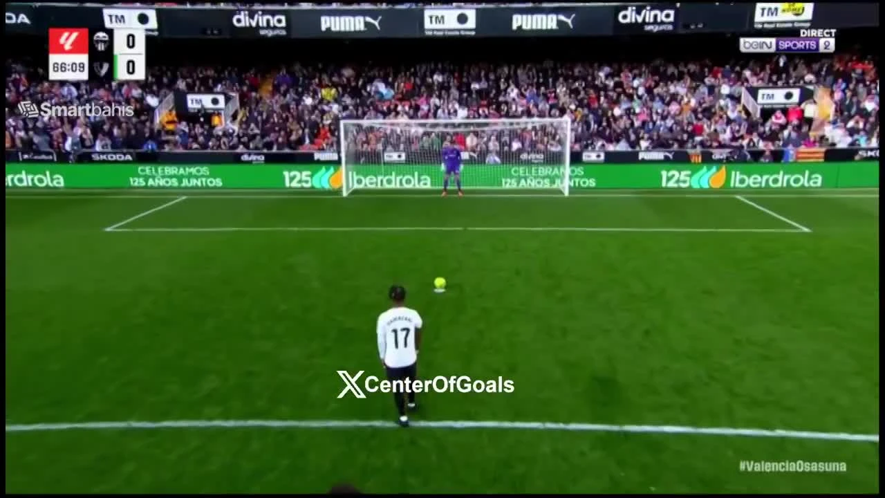 zaslepka skrotu video