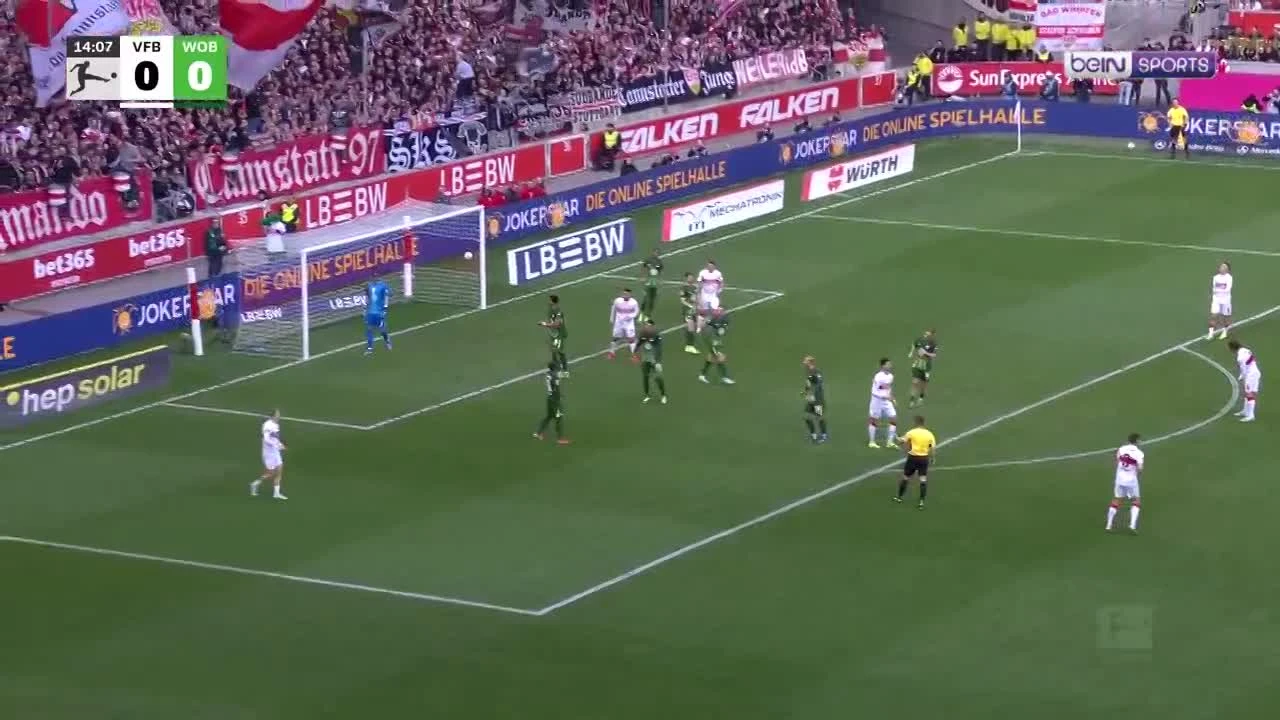 zaslepka skrotu video